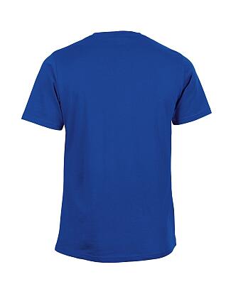 SALMING koszulka Logo Tee