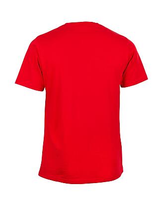 SALMING koszulka Logo Tee