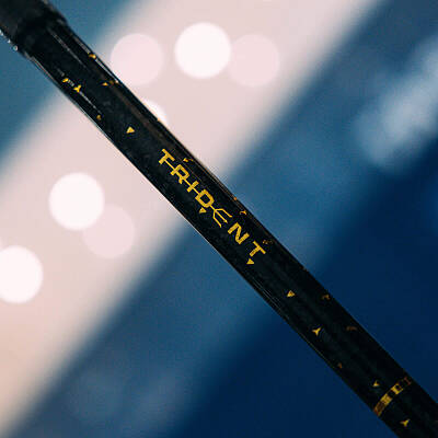 Salming Trident Q-series Carbon Pro 2.0 LTD 29 Black/Gold +  łopatka gratis