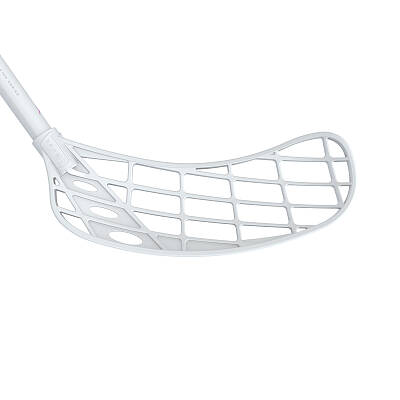 Fatpipe Raw 29 Racing Series Silk